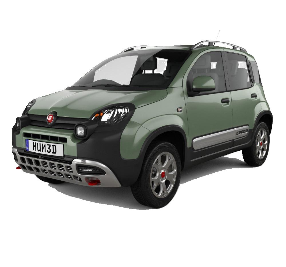 Fiat_Panda_Mk3_Cross_2014- lyžiny